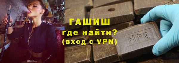 индика Арсеньев