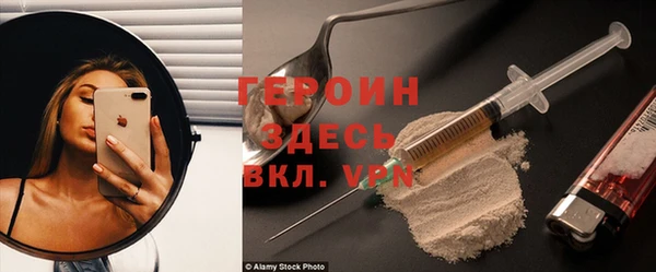 индика Арсеньев