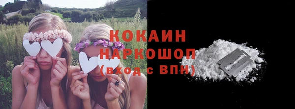 крисы Аркадак