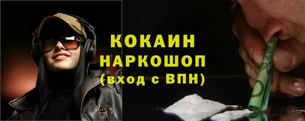 индика Арсеньев