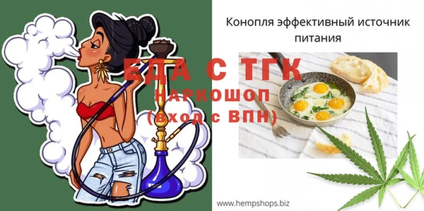 индика Арсеньев