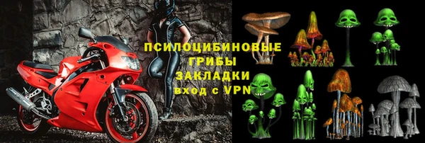 индика Арсеньев