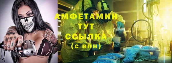 индика Арсеньев