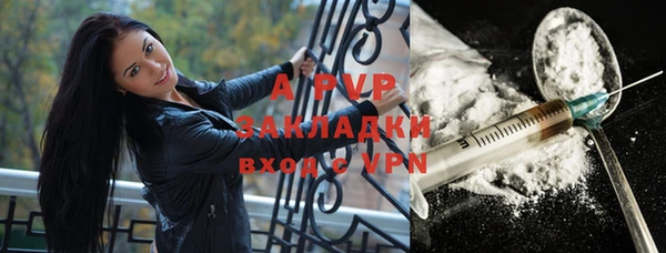 индика Арсеньев