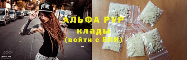 индика Арсеньев