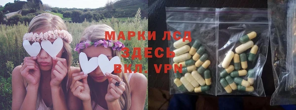 индика Арсеньев