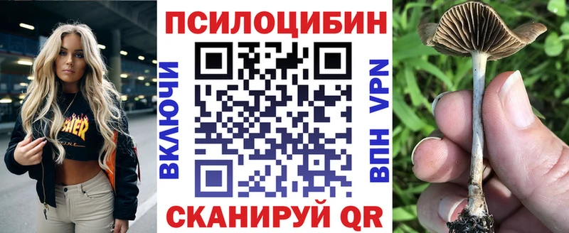 mega ссылки магазин наркотиков Шатура Псилоцибиновые грибы прущие грибы